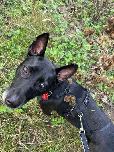 Handy-Foto Challange Nr. 10-Beitrag-Bild