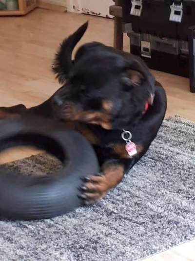 Coole Spielzeuge ?-Beitrag-Bild