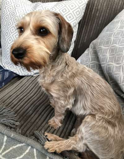 Erinnerungs Tattoos-Beitrag-Bild