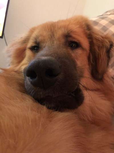 Lustige Bilder-Beitrag-Bild