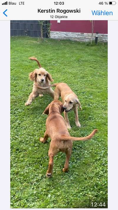 Fotochallenge No.97-Beitrag-Bild