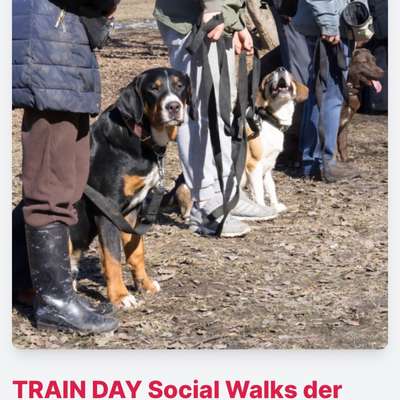 %{de_profession_title}-TRAIN DAY Social Walks der anderen Art-Bild