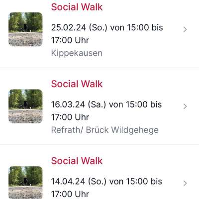 Giftköder-Social Walks-Bild