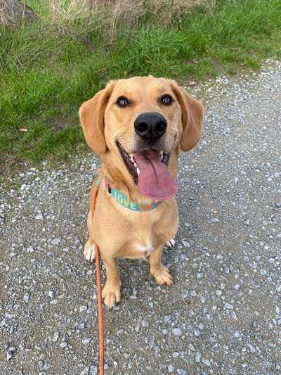 Das beste grinsefoto-Beitrag-Bild