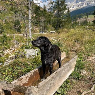 Dogorama Photo Challenge - Tierischer Urlaub-Beitrag-Bild