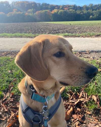 Zeigt eure Portraits-Beitrag-Bild