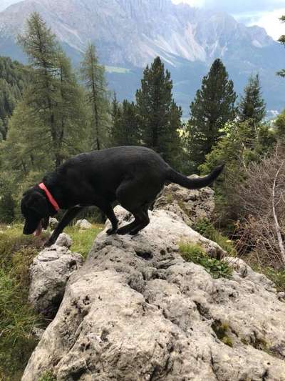 Fotochallenge Nr 107-Beitrag-Bild