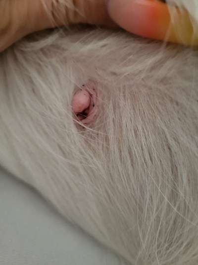 Flecken am Bauch-Beitrag-Bild