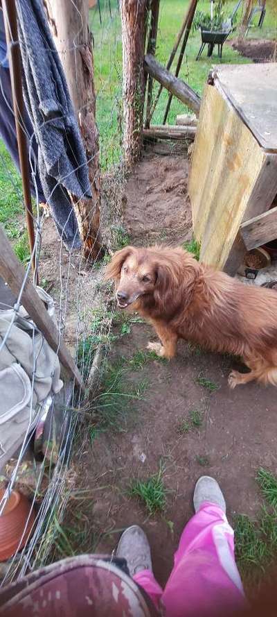 Jacky (16 Jahre) frisst seit heute nicht mehr-Beitrag-Bild