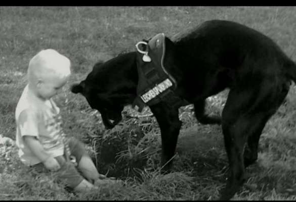 Lieblingsbild von euren Hunden?-Beitrag-Bild