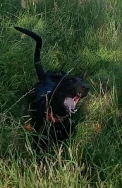 LUSTIGE FOTOS! WER KANN MITHALTEN?-Beitrag-Bild