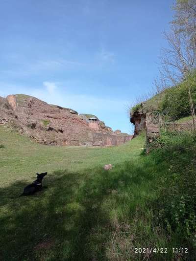 Die wunderschöne Welt mit Hund.-Beitrag-Bild