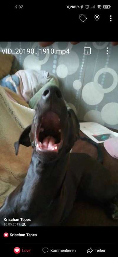 LUSTIGE FOTOS! WER KANN MITHALTEN?-Beitrag-Bild