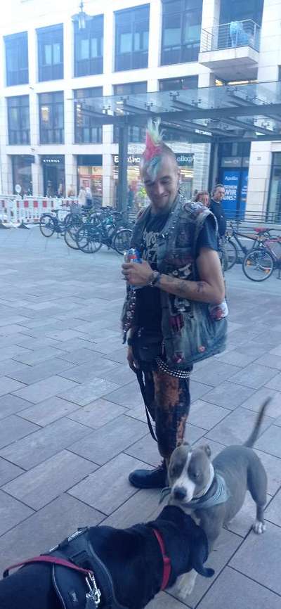 Die Dogorama Wochen Challenge-Beitrag-Bild