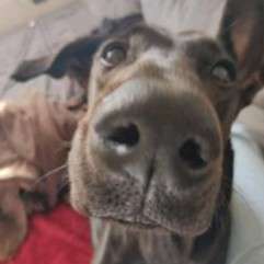 LUSTIGE FOTOS! WER KANN MITHALTEN?-Beitrag-Bild