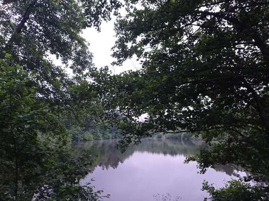 Die wunderschöne Welt mit Hund.-Beitrag-Bild