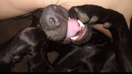 LUSTIGE FOTOS! WER KANN MITHALTEN?-Beitrag-Bild