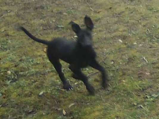 LUSTIGE FOTOS! WER KANN MITHALTEN?-Beitrag-Bild