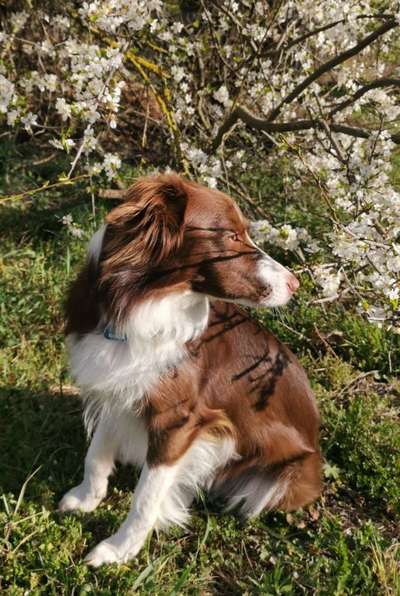 Fotochallenge 78

Es grünt und blüht-Beitrag-Bild