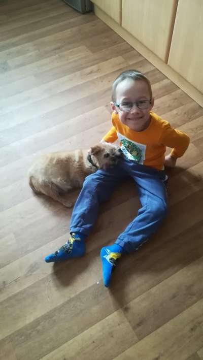 Mischling oder Rassehund - Wer wird wirklich älter?-Beitrag-Bild