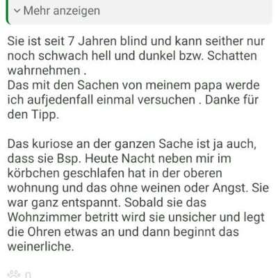 Hilfe! Sie will nicht in der Wohnung bleiben ...-Beitrag-Bild