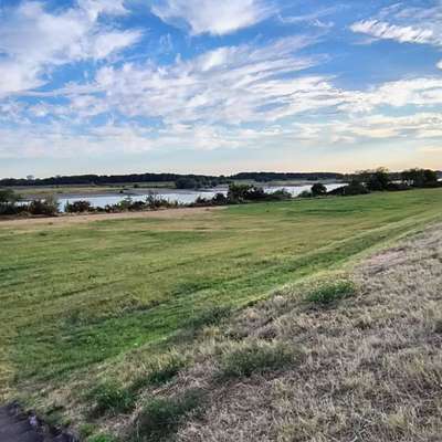 Hundeauslaufgebiet-Rheinwiese Laar-Bild
