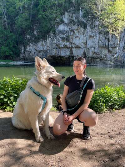 Hundetreffen-Gassi Runde, Gerne auch wenn es klappt mit Freilauf-Bild