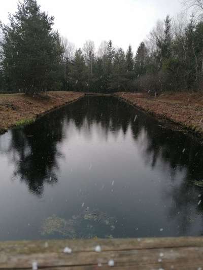 Die wunderschöne Welt mit Hund.-Beitrag-Bild