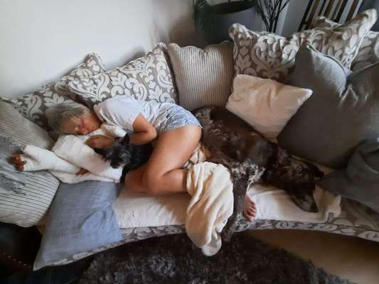 Du weißt, du hast einen Hund wenn...-Beitrag-Bild