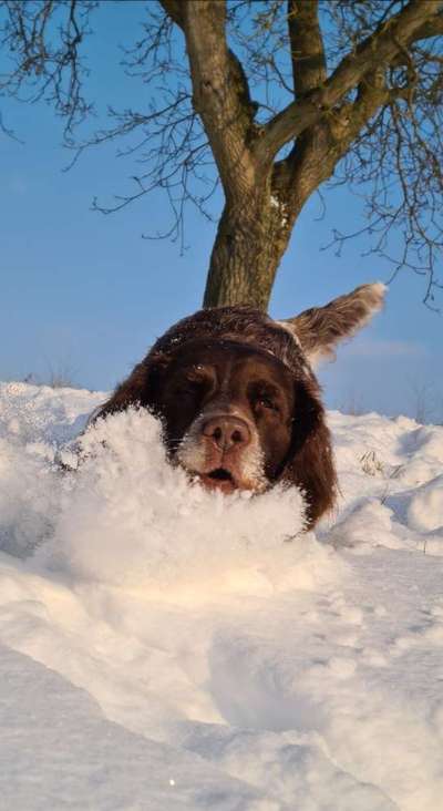 Fotochallenge 61 ~ Schnee-Beitrag-Bild