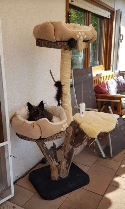 Challenge Nr 14
Eure Fellnasen auf ihrem Lieblingsplatz-Beitrag-Bild