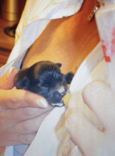 Das erste Foto-Beitrag-Bild