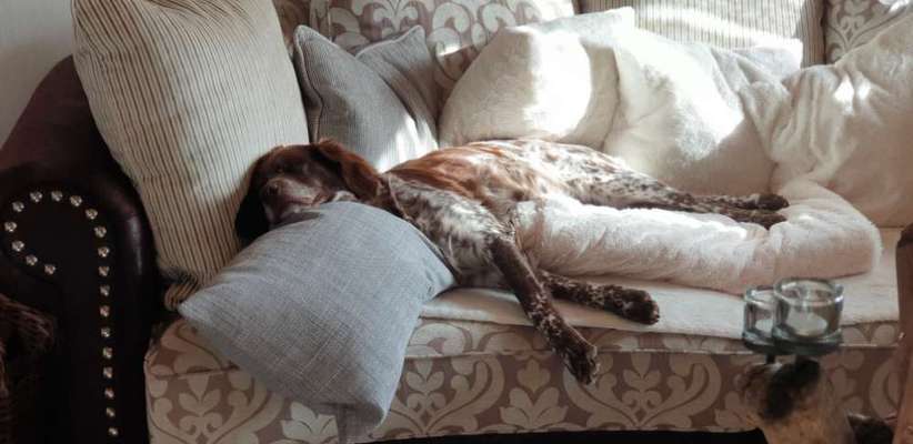 Die unbequemsten und lustigsten Schlafpositionen-Beitrag-Bild