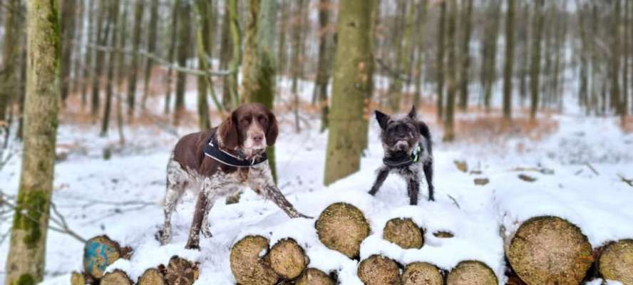 Zeigt mir eure Lieblingsfotos ♡♡-Beitrag-Bild