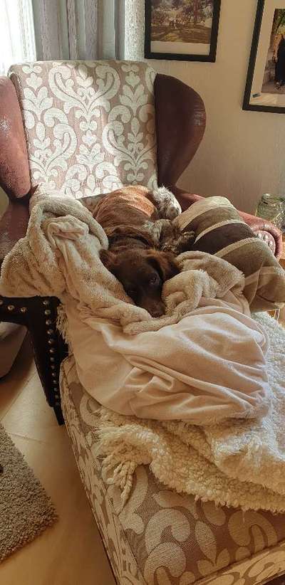 Challenge Nr 14
Eure Fellnasen auf ihrem Lieblingsplatz-Beitrag-Bild