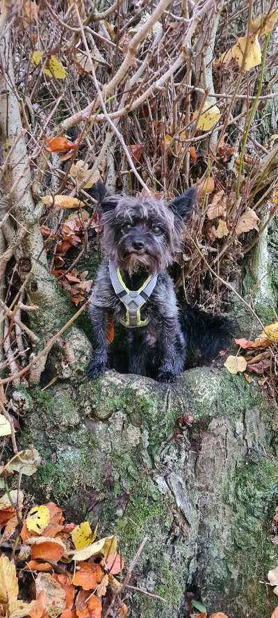 Fotochallenge Nr. 56 - geliebte Senioren-Beitrag-Bild