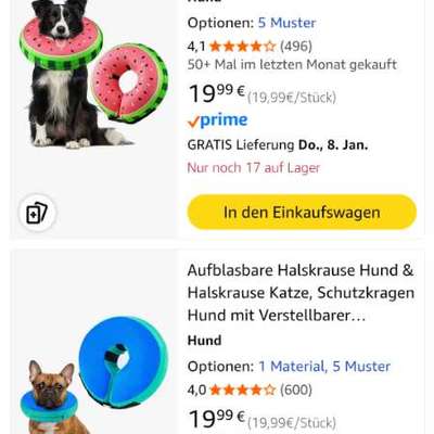 Rute aufgeschlagen-Beitrag-Bild