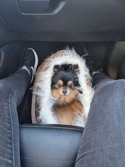 Von oben-Beitrag-Bild