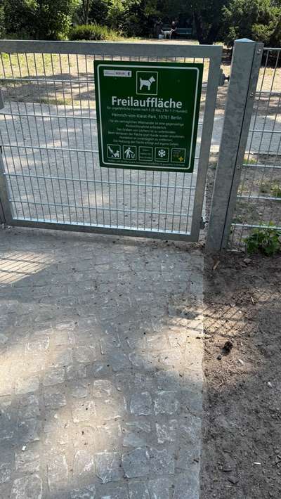 Hundeauslaufgebiet-Hundeplatz Schöneberg (Inselhunde Schöneberg e.V.)-Bild