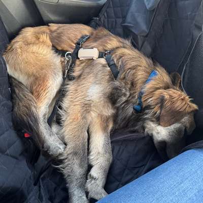 Bürstenempfehlung-Beitrag-Bild