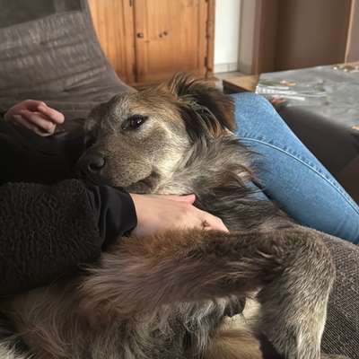 Bürstenempfehlung-Beitrag-Bild