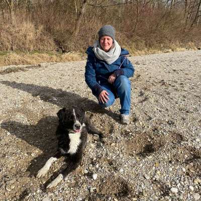 Hundetreffen-Gassirunde