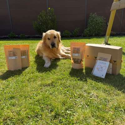 %{de_profession_title}-Vital Box-Bild