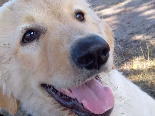 Orientierung zu mir verbessern-Beitrag-Bild