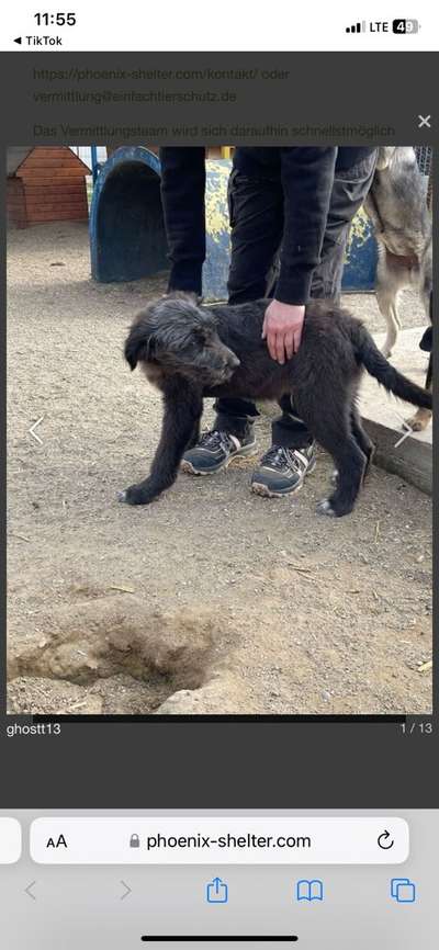 Gibts hier Mioritic Besitzer?-Beitrag-Bild