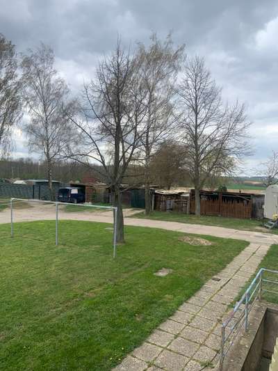 TierschutzhundeStammtisch🐕-Beitrag-Bild