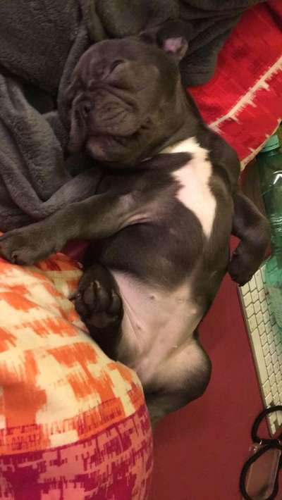 Challenge Nr 14
Eure Fellnasen auf ihrem Lieblingsplatz-Beitrag-Bild