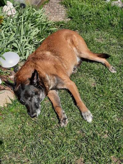 Fotochallenge Nr. 62 Romantische Momente-Beitrag-Bild