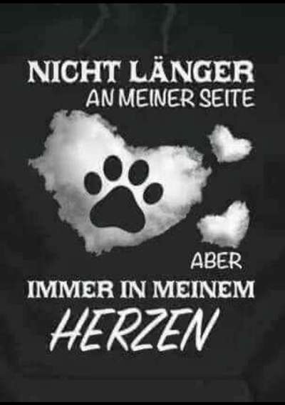 Erinnerungs Tattoos-Beitrag-Bild