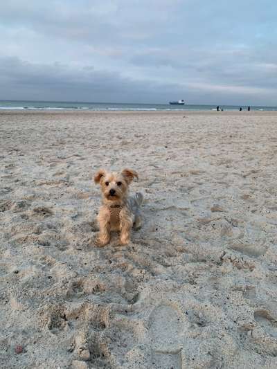 Eure Strandbilder :)-Beitrag-Bild